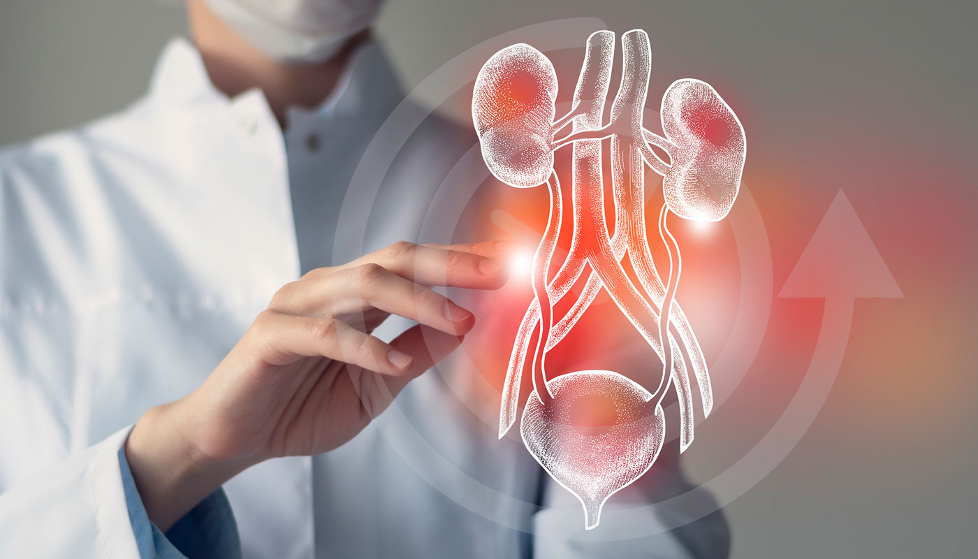 Why Is My UTI Coming Back Again and Again?